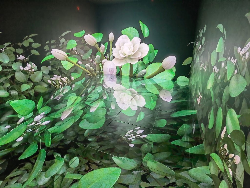 Image of An Immersive Space Designed and Installed in Fujian